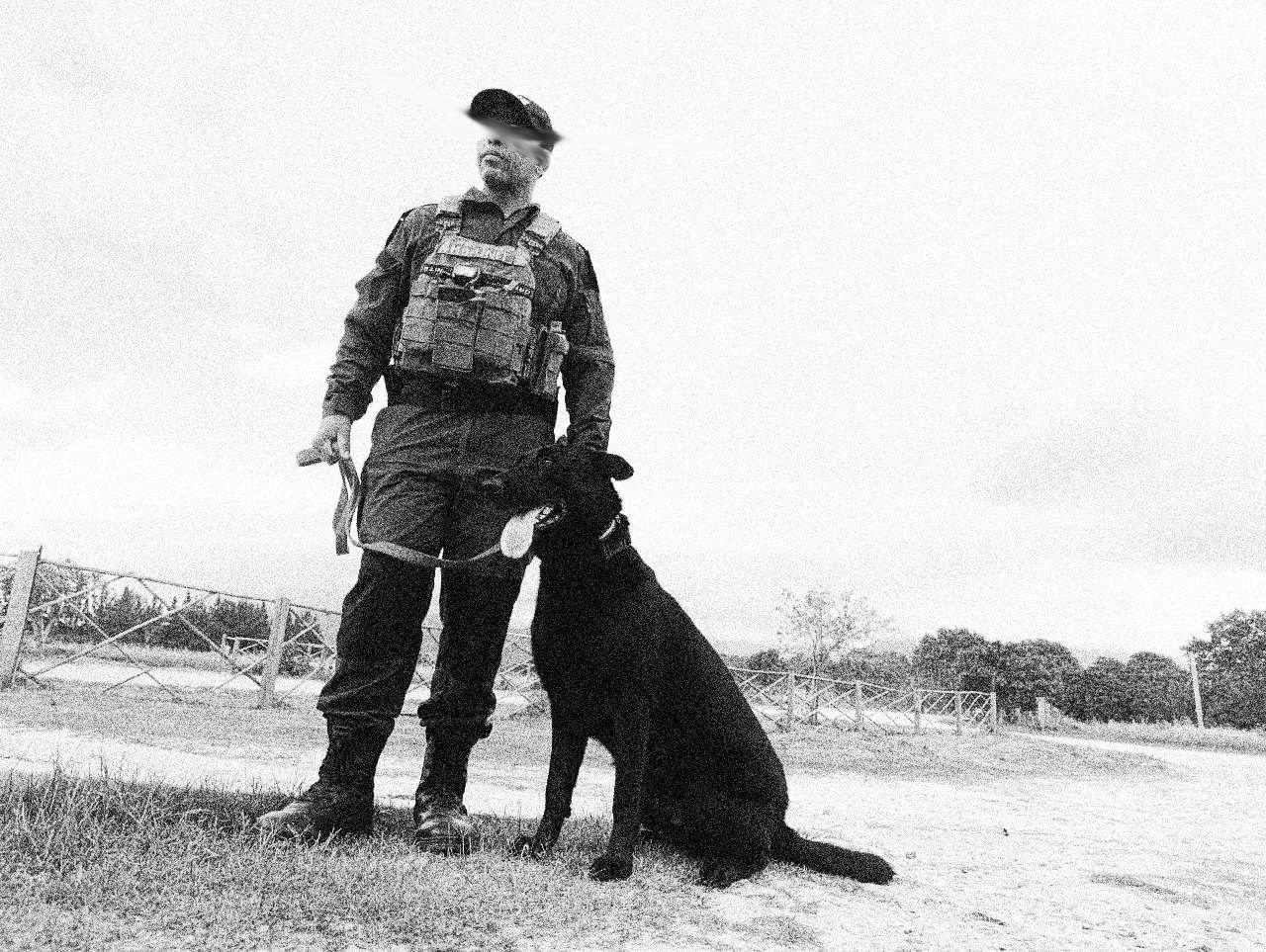 ONE K9 handler with a working dog on open farmland